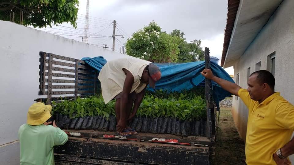 Araçagi recebeu mais três mil mudas de árvores nativas para distribuição e plantio no Município