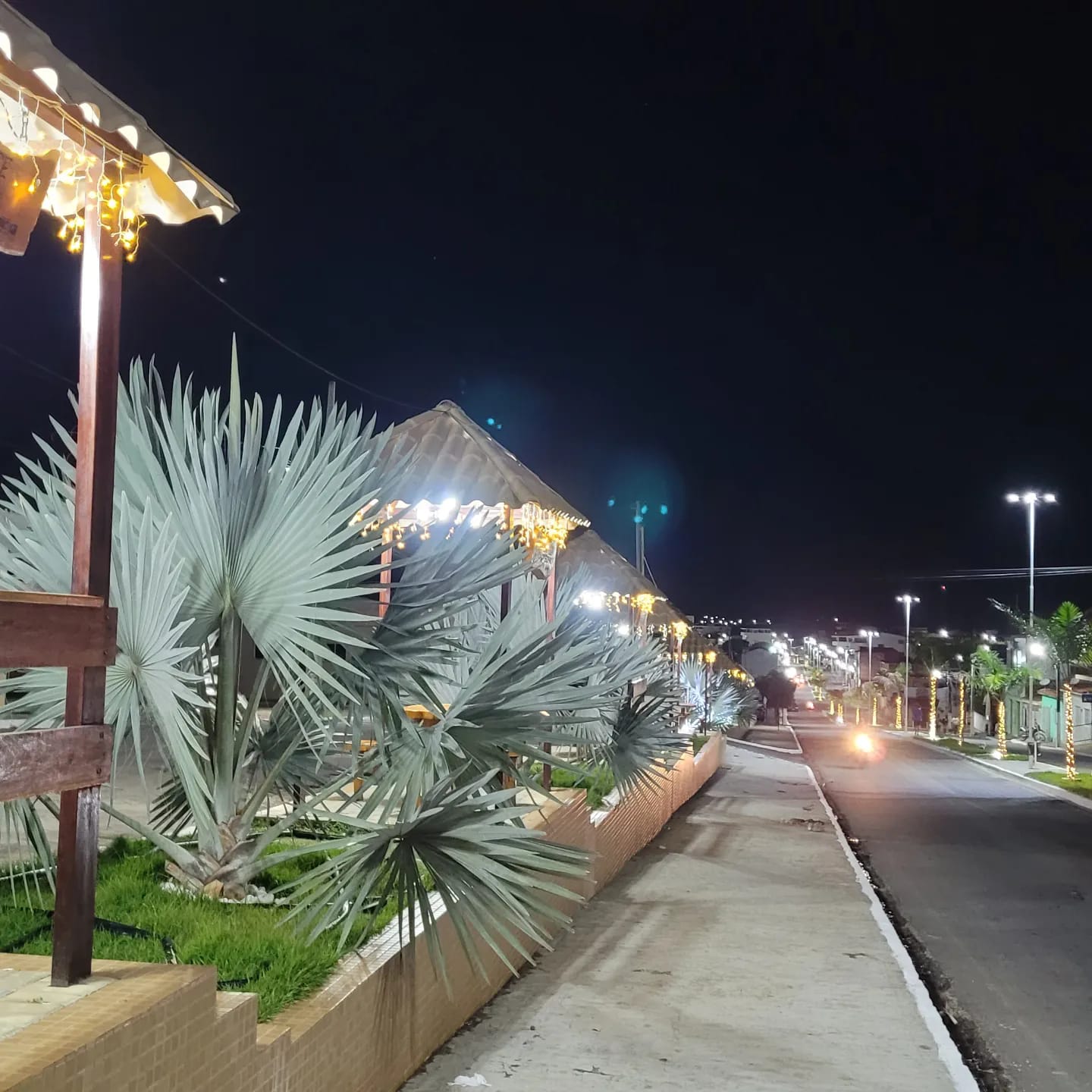 318642039-453115466994479-1130959668371951838-n.jpg 318642039-453115466994479-1130959668371951838-n.jpg