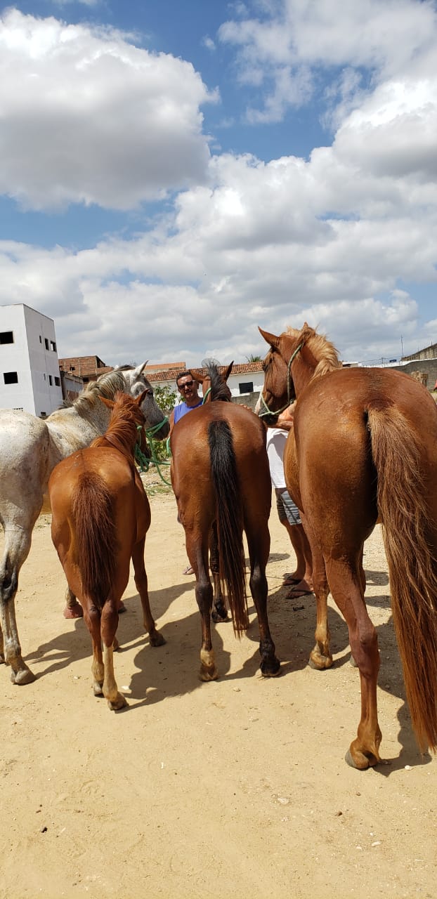 whatsapp-image-2021-01-07-at-14.jpeg whatsapp-image-2021-01-07-at-14.jpeg