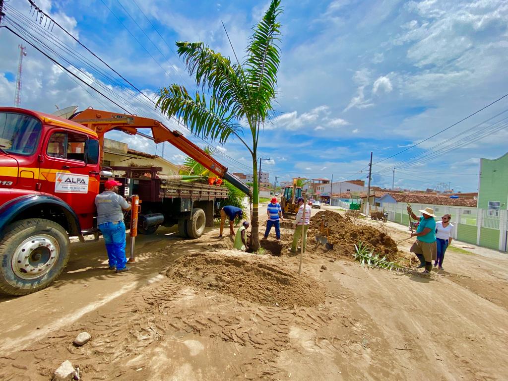 Prefeitura iniciou obras de revitalização da av. Olívio Maroja com etapa de arborização Prefeitura iniciou obras de revitalização da av. Olívio Maroja com etapa de arborização